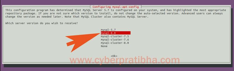 14-select-mysql-versioin