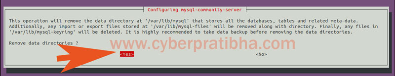 18-remove-data-directory