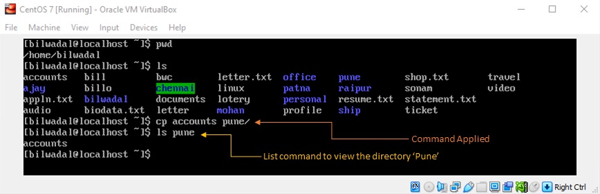 cp command in linux