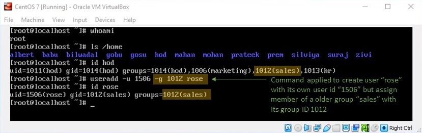 adduser Command in Linux - Creating User and Assigning a Group with Group ID