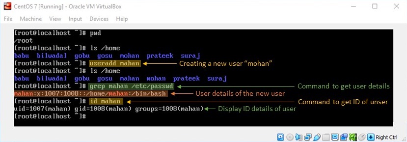 adduser Command in Linux - Creating a New User with useradd Command